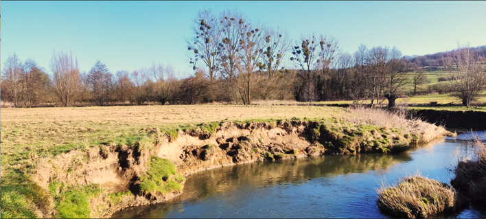 Soil-related Ecosystem Services