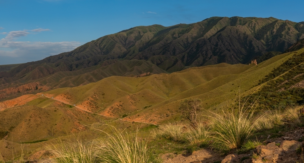 Biogeographical Regions - Mission Soil 2026 Topic