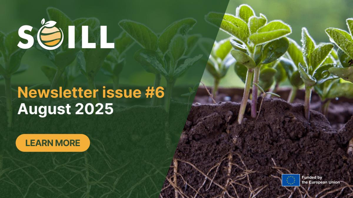 soill newsletter 6