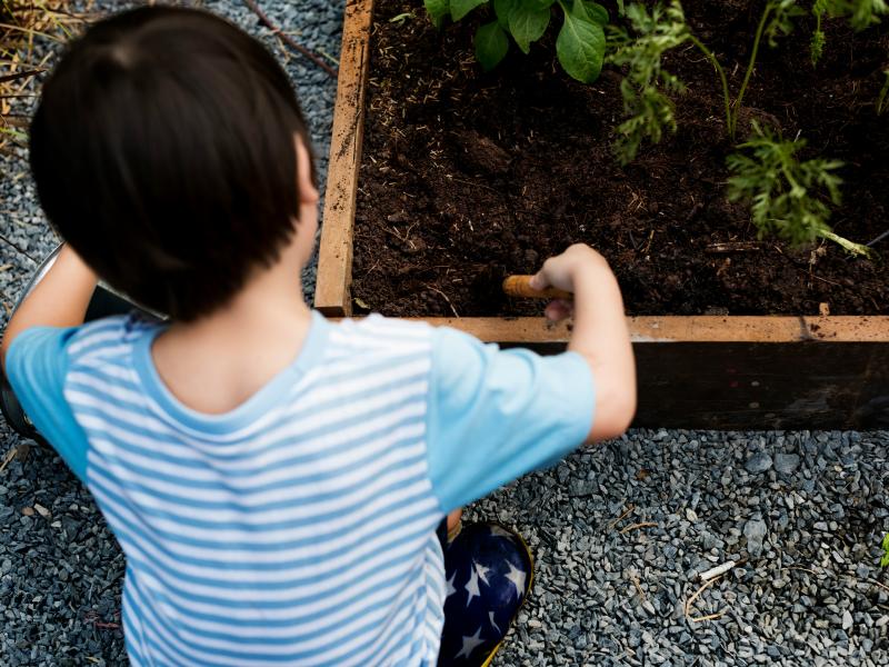 kid kneeling on soil box